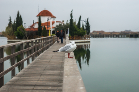 Monastery of Saint Nikolas on  small island at lake Vistonida, Northern Greeceの写真素材