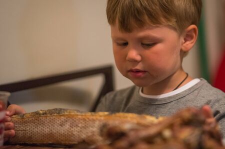 Little boy eating long loaf bread in kitchen, Russiaの写真素材