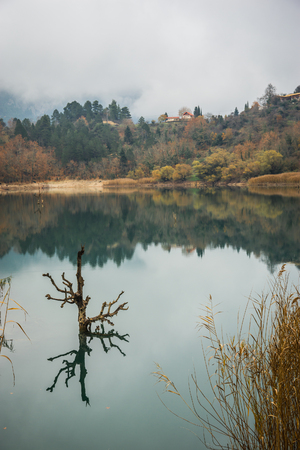 Autumn landscape with yellow leaves and green waters of lake Tsivlos, Peloponnese, Greeceの写真素材