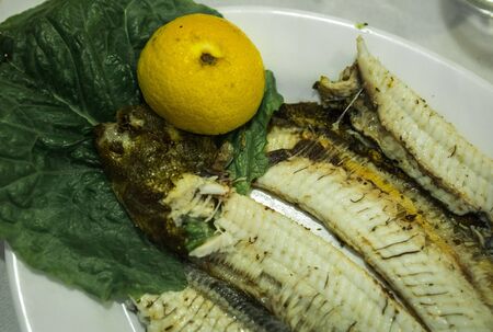 Still life with fish, vegetables and herbs, Greeceの写真素材