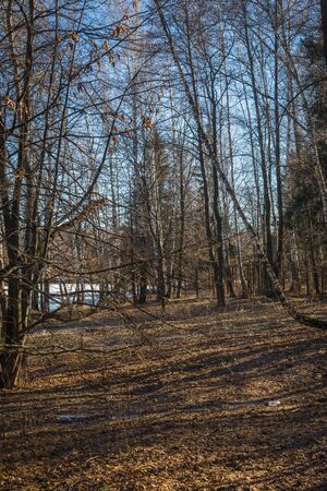Panoramic image of rare bushes and trees on the shore of the lake with a village on the opposite...