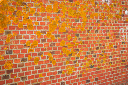 Image of Brick wall of Fort Zapadny in Baltiysk in Kaliningrad region, Russiaの写真素材