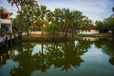 Picturesque landscape with reflections in a green river in Kenyaの写真素材