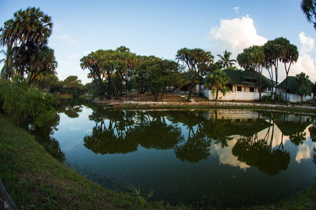 Picturesque landscape with reflections in a green river in Kenyaの写真素材