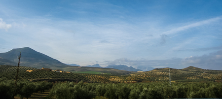 Picturesque misty landscape in province of Jaen in Spainの写真素材