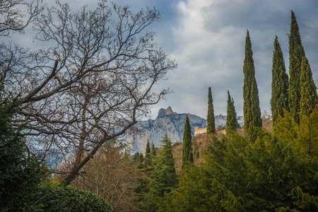 Beautiful landscape with trees in Crimea in Russiaの写真素材