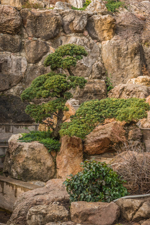 Beautiful landscape with trees in Crimea in Russiaの写真素材