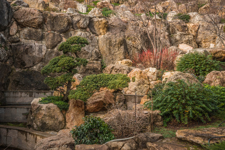 Beautiful landscape with trees in Crimea in Russiaの写真素材