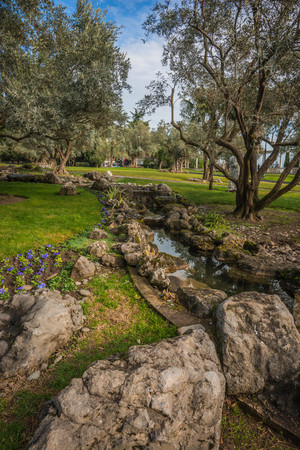 Beautiful landscape with trees in Crimea in Russiaの写真素材