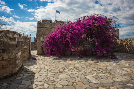 Image of flowers on ruins of fortress on Bourtzi Island near city of Nafplion in Greeceの写真素材