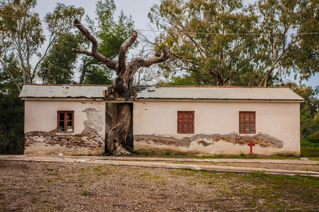 Image of beautiful shores of Kaifa lake and old ruined buildings on Peloponnese in Greeceの写真素材