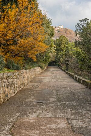 Picturesque autumn landscape in the Crimean park in  Russia