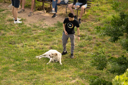 Rome, Italy - May 05, 2020,  People walking with dog in a meadow during self-isolation in Rome, Italyのeditorial素材