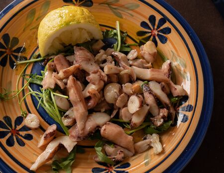 Image of seafood salad - octopus on colored plate with lemonの写真素材