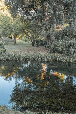 image of river and reflections at sunset in Nymph Gardens in province of Latina in Italyの写真素材