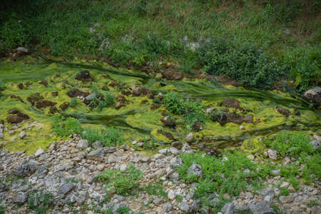 Green waters of the river near the Pastena cave in Fronzinone in Lazio in Italyの写真素材