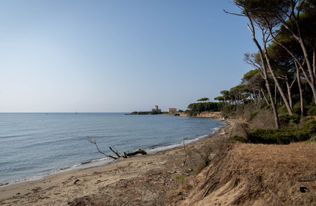 Image of sandy beach and castle in Torre Astura in Italyの写真素材