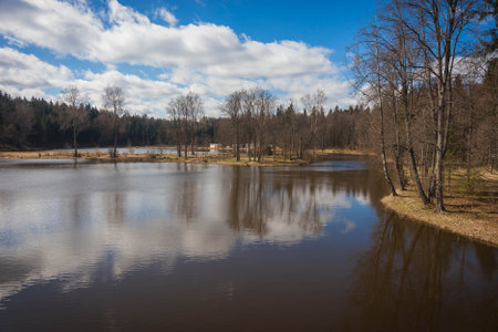 Upper reaches of Moscow river in late autumn with bare trees and reflections in water in Russiaの写真素材