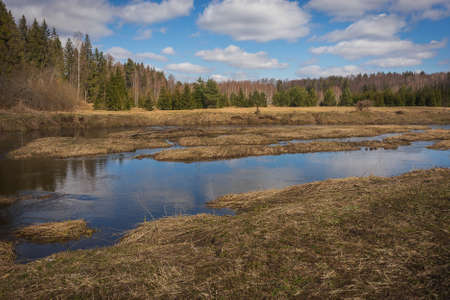 Upper reaches of Moscow river in late autumn with bare trees and reflections in water in Russiaの写真素材