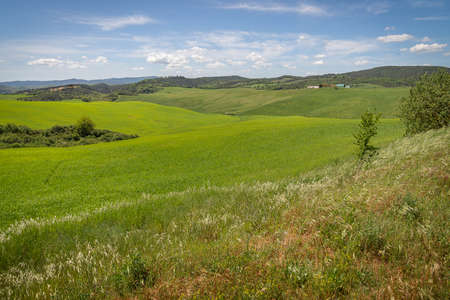 Traditional view of spring fields in Tuscany in Italyの写真素材