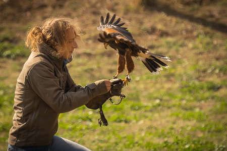 Trevignano Romano, Italy - October 17, 2021, Eagle sitting on hunting glove of man in Trevignano Romano, Italyのeditorial素材