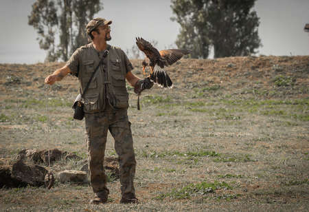 Trevignano Romano, Italy - October 17, 2021, Eagle sitting on hunting glove of man in Trevignano Romano, Italyのeditorial素材
