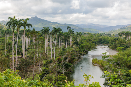 national park alejandro de humboldt near baracoa - Cubaの写真素材