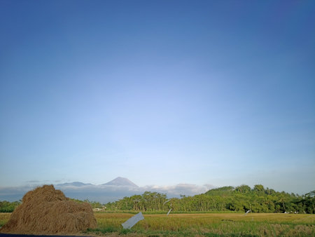 view of agricultural area with blue sky background.の写真素材