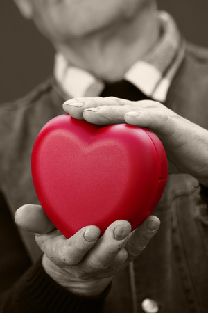 Closeup, cropped, black white portrait, hands senior, elderly, man, grandfather holding red heart in hands, isolated dark background. Human emotions, expressions. Old people health. Love, compassionの写真素材