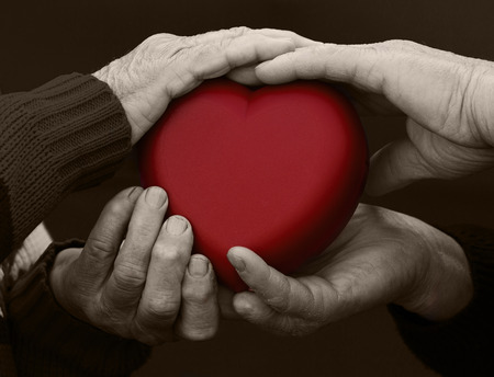 Closeup, cropped, isolated black white picture, hands senior, elderly people, woman, man, grandparents holding red heart. Human emotions, attitude. Old people health. Love, compassion, mother, fatherの写真素材