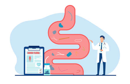 Vector of a doctor examining gastrointestinal tract and giving a report of healthy good floraのイラスト素材
