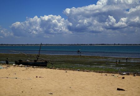 Beautiful and empty tropical beach at Island of Mozambique in the Indian Oceanの写真素材
