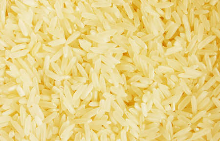 yellow rice の写真素材