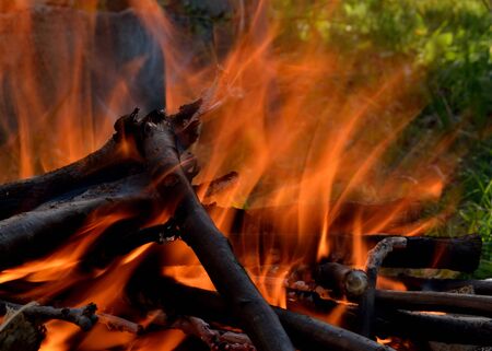 Campfire close-up with grass in the background and burning wood and ashes, long exposureの写真素材