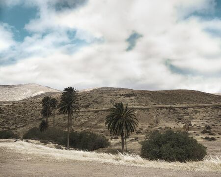 Rural part of the islandの写真素材