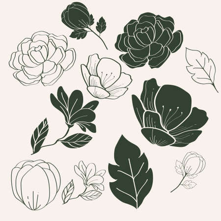 vector design illustration of flowers and leaves as design elementsのイラスト素材