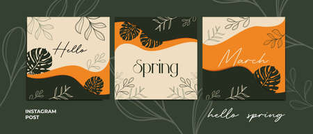 welcome spring and hello spring. watercolor background for greeting. desktop background, wedding invitation and welcomeのイラスト素材