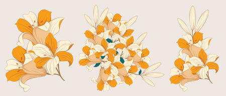 Lilium Candidum Botanical Illustration as a frame design and romantic invitation printing needsのイラスト素材