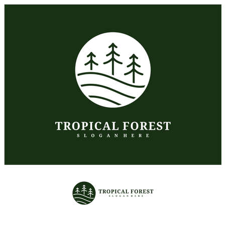 Pine Tree logo design vector template, Tropical forest logo concepts illustration.のイラスト素材