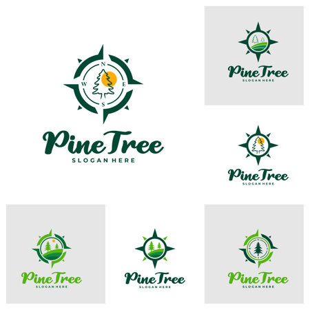Set of Pine Tree with Compass logo design vector. Creative Pine Tree logo concepts templateのイラスト素材