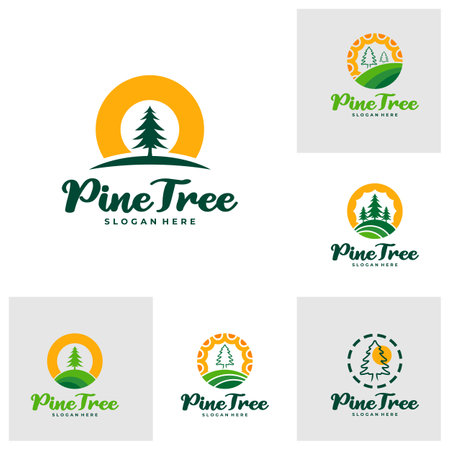 Set of Pine Tree with Sun logo design vector. Creative Pine Tree logo concepts templateのイラスト素材