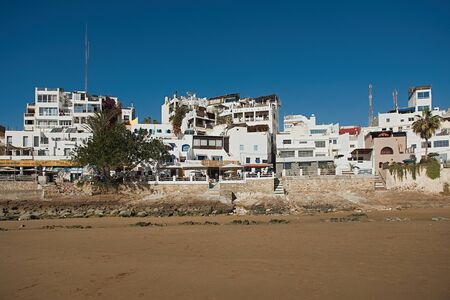 Dakhla, MOROCCO - JANUARY 18, 2020: brown seagull in front of the ocean with houses in the backgroundのeditorial素材