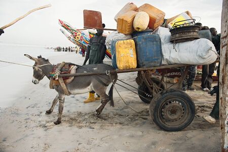 FERLO DESERT, SENEGAL, JANUARY 17, 2020: Local transport of people with donkey cart in cities west Africa.のeditorial素材