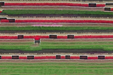 Golden desert dunes taken with a shallow depth of fieldの写真素材