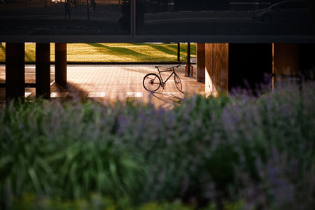 healthy young man rides a Bicycle, enjoying nature and sun. A free traveler travels with a bicycle at sunset. concept of adventure and travel. lonely cyclist resting in park.の写真素材