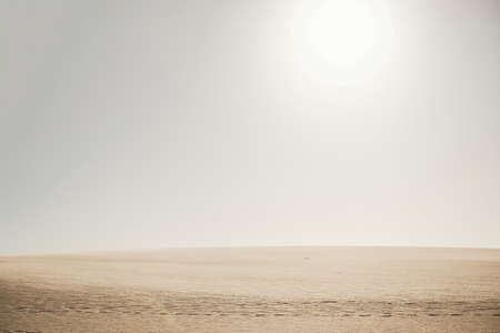Golden desert dunes taken with a shallow depth of field and sunの写真素材