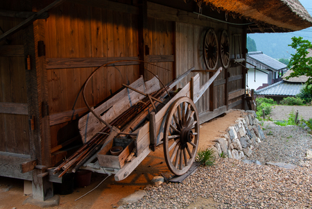 At the farmの写真素材