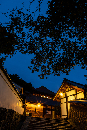Todai-ji Temple, the approach of Nigatsu-do Part 4の写真素材