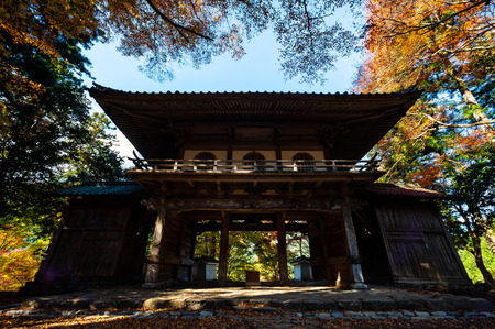 Autumn leaves and big gateのeditorial素材