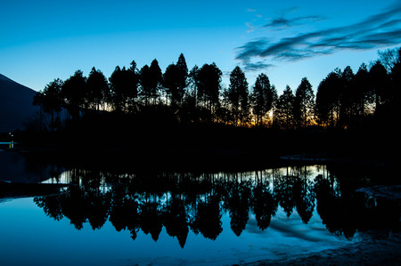 Dawn of Lake Honjo where trees lined upの写真素材